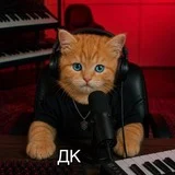 Даня Кашин — стример Twitch