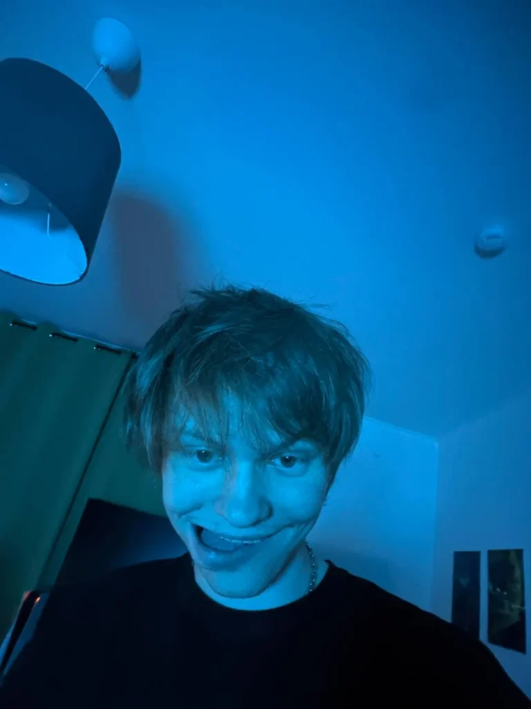 Дипинс