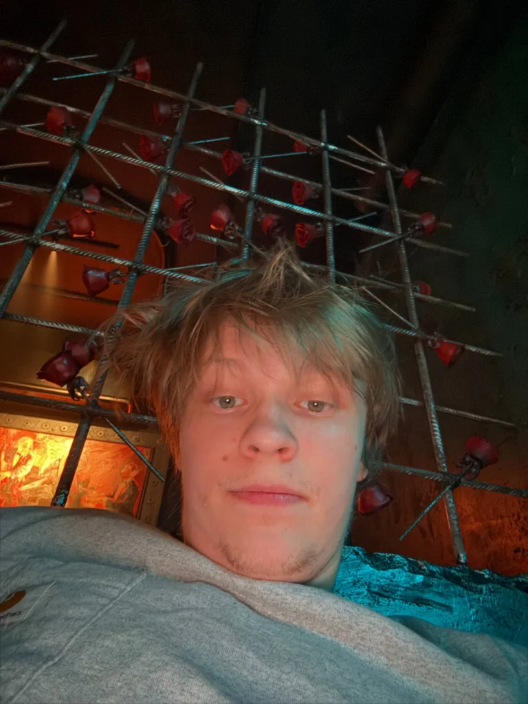 Дипинс
